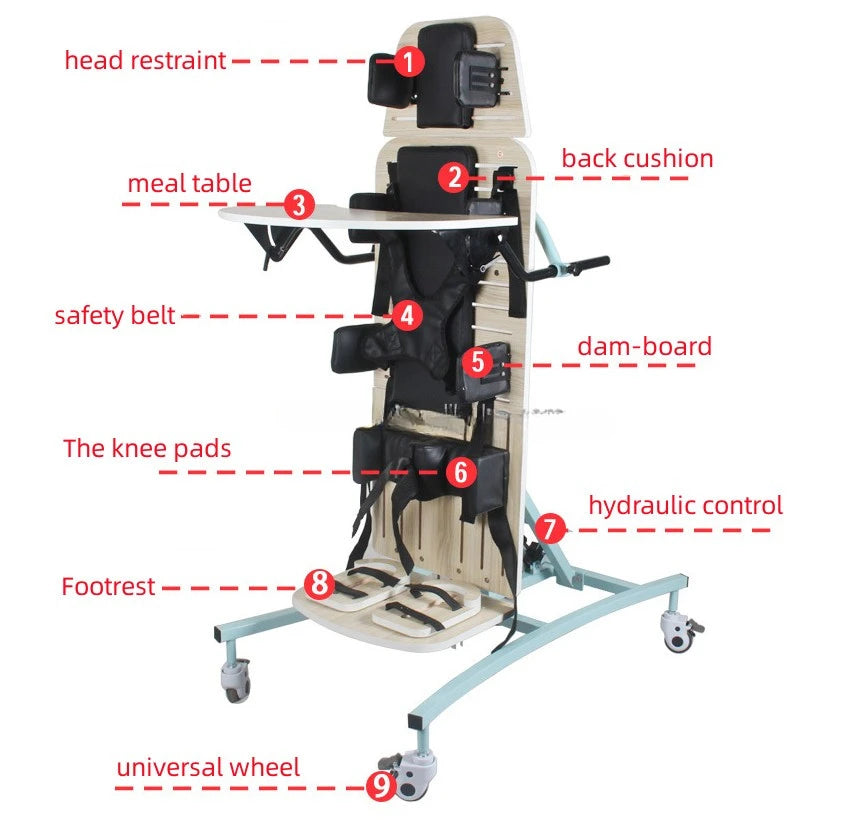 Rehabilitation of Persons with Disabilities with Station Mounted Walking Aids