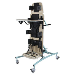 Rehabilitation of Persons with Disabilities with Station Mounted Walking Aids