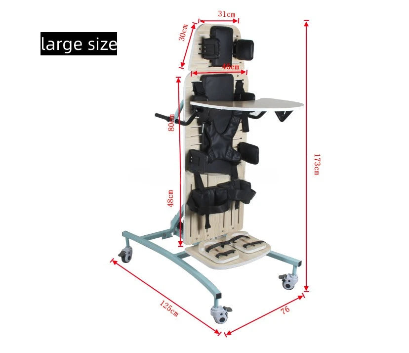 Rehabilitation of Persons with Disabilities with Station Mounted Walking Aids