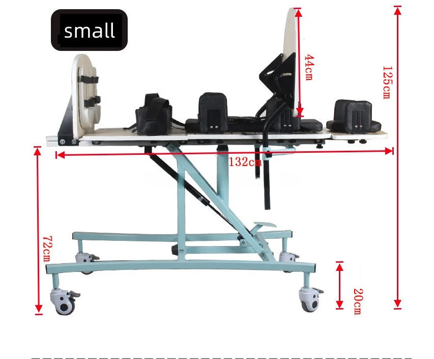 Rehabilitation of Persons with Disabilities with Station Mounted Walking Aids