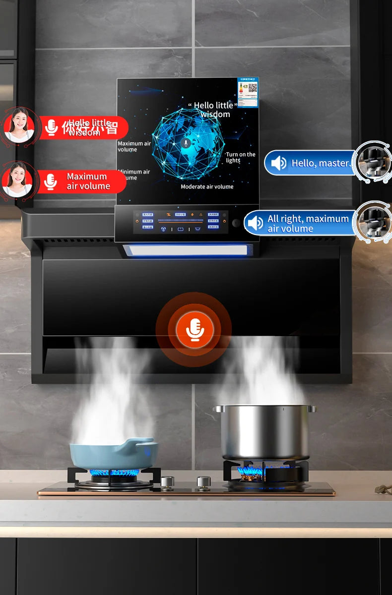 Pricing Energy Efficient Home Appliance Kitchen Large Suction Top Side Double Suction Range Hood