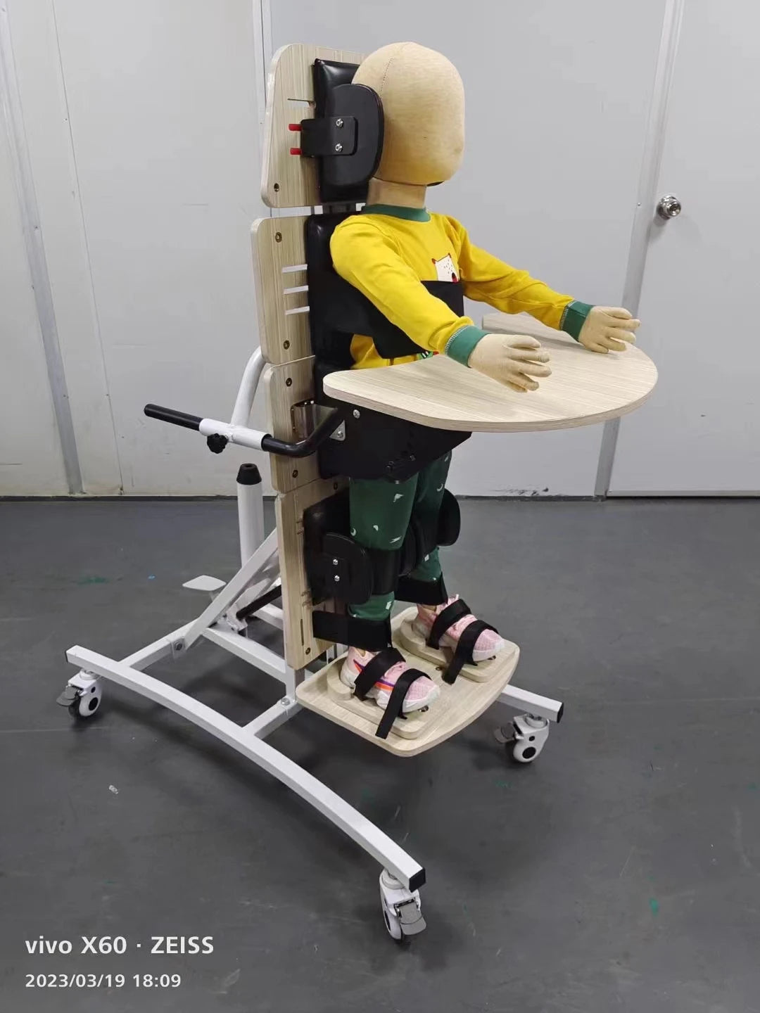 Rehabilitation of Persons with Disabilities with Station Mounted Walking Aids