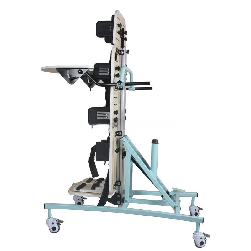 Rehabilitation of Persons with Disabilities with Station Mounted Walking Aids